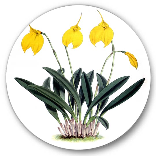 Designart - Retro Orchid Flowers
